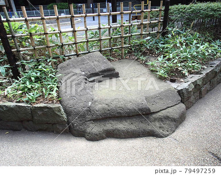 公園の敷石 公園の敷石 79497259