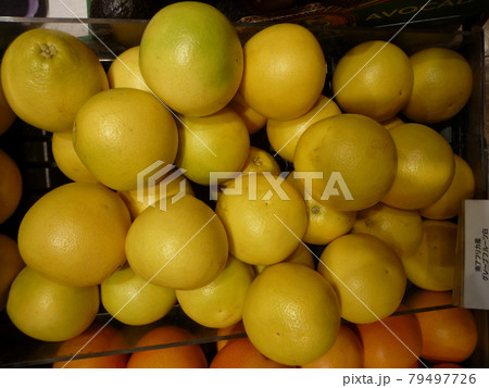 グレープフルーツ 79497726