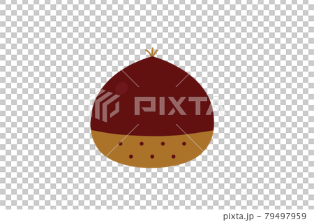 Cute Chestnut Simple and cute chestnut vector illustration - Stock Illustration ...