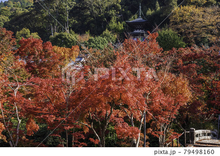 京都・永観堂 多宝塔と紅葉 京都・永観堂 多宝塔と紅葉 79498160