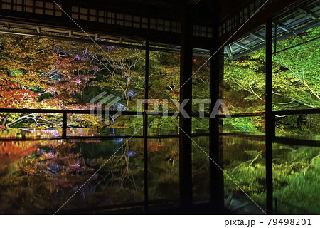 京都・八瀬 瑠璃光院の机もみじ 秋のライトアップ 京都・八瀬 瑠璃光院の机もみじ 秋のライトアップ 79498201