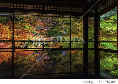 京都・八瀬　瑠璃光院の机もみじ　秋のライトアップ 79498202