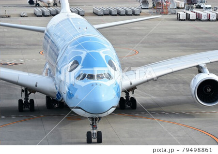 エアバスA380 (ANA FLYING HONU) 79498861