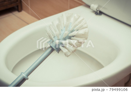 Domestic accessories for cleaning toilet. Household duties concept 79499106