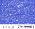 水の表面 79499964