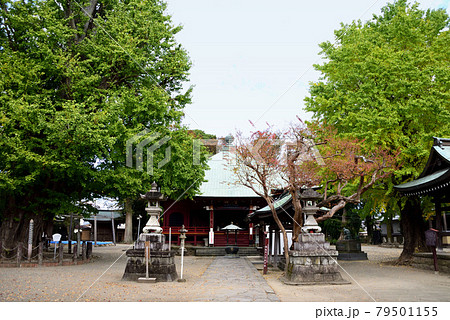勝福寺 飯泉観音 本堂 勝福寺 飯泉観音 本堂 79501155