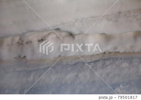 カナダ　雪原　雪のテクスチャ 79501817