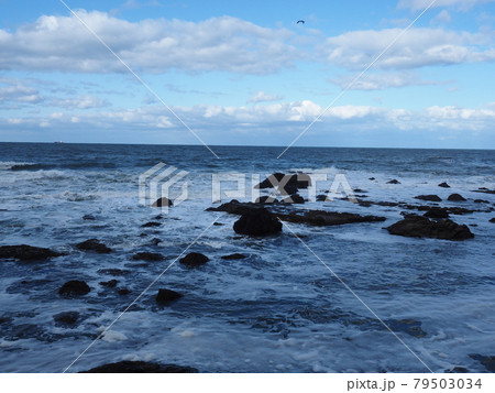 水平線が見える海 79503034