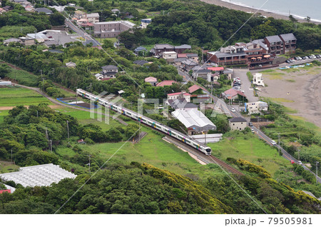 内房線　保田ー浜金谷　JR東日本　E257系0番台　M-111編成（松本）　新宿さざなみ 79505981