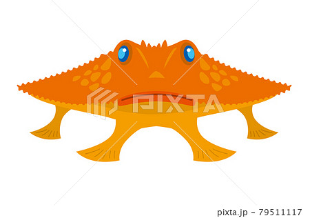 アカグツ/深海 アカグツ/深海 79511117