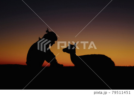 夕暮れ時の若草山 79511451