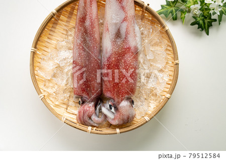 イカの王様新鮮アカイカ 79512584