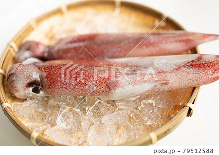 イカの王様新鮮アカイカ 79512588