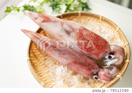 イカの王様新鮮アカイカ 79512590