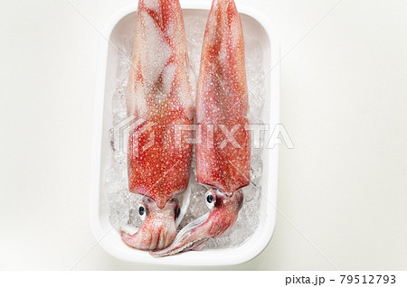 イカの王様新鮮アカイカ 79512793