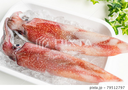 イカの王様新鮮アカイカ イカの王様新鮮アカイカ 79512797