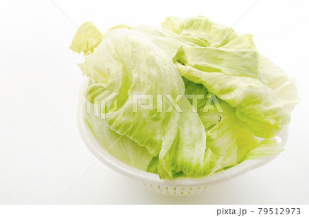 レタスの水切り 79512973