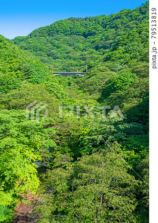 めがね橋遊歩道からの景色　碓氷第三橋梁　橋梁上遊歩道から初夏の風景　 79513819