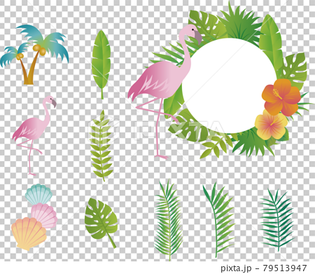 夏季植物花葉熱帶框架複製空間插畫素材集 插圖素材 圖庫