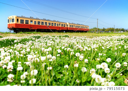 小湊鉄道 花畑 小湊鉄道 花畑 79515073