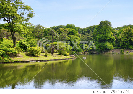 東京都 六義園 (りくぎえん) 中の島付近 特別名勝 東京都 六義園 (りくぎえん) 中の島付近 特別名勝 79515276