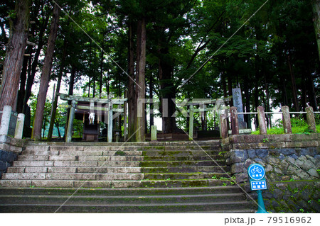 諏訪大社下社秋宮　初夏 79516962