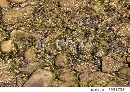Rippling water over the pebbles Rippling water over the pebbles 79517584