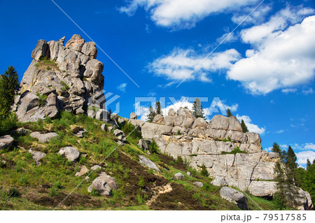 In the mountains. Carpathians, Ukraine 79517585