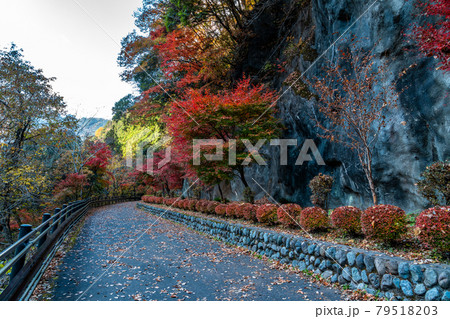 【東京都 奥多摩】数馬隧道 【東京都 奥多摩】数馬隧道 79518203
