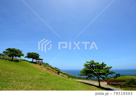 沖縄 海の見える風景 絶景 沖縄 海の見える風景 絶景 79519303