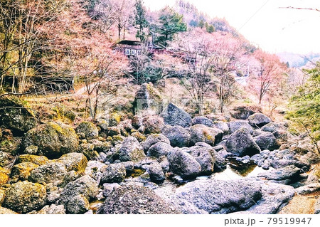 袋田の滝 袋田の滝 79519947