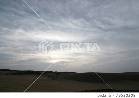 鳥取 四季の散歩 夏 鳥取砂丘 鳥取 四季の散歩 夏 鳥取砂丘 79520208