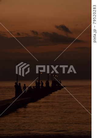 夕日と桟橋 縦 夕日と桟橋 縦 79520283