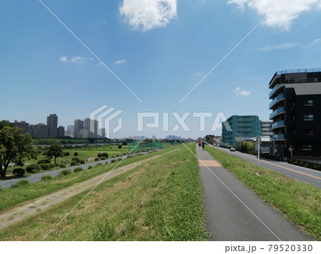 川崎市中原区　多摩川沿いのサイクリングロード 79520330