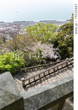 【静岡県】　久能山東照宮 79520887