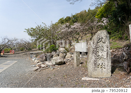 【静岡県】　久能山東照宮 79520912