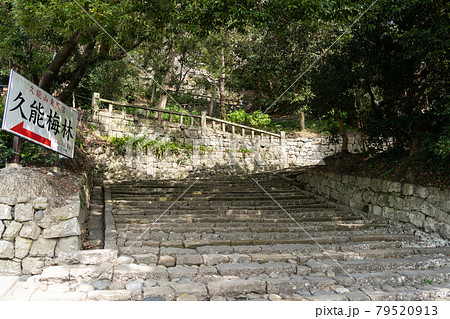 【静岡県】 久能山東照宮 【静岡県】 久能山東照宮 79520913