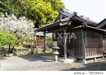 【静岡県】　久能山東照宮 79520923