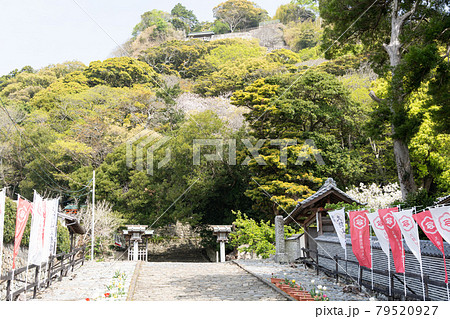 【静岡県】 久能山東照宮 【静岡県】 久能山東照宮 79520927