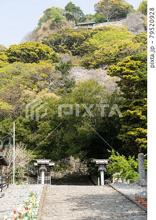 【静岡県】　久能山東照宮 79520928