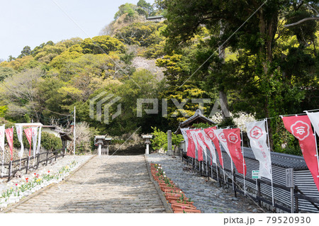 【静岡県】　久能山東照宮 79520930