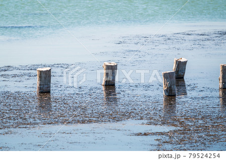 Wooden pier or jetty remains on a blue lake sunset 79524254