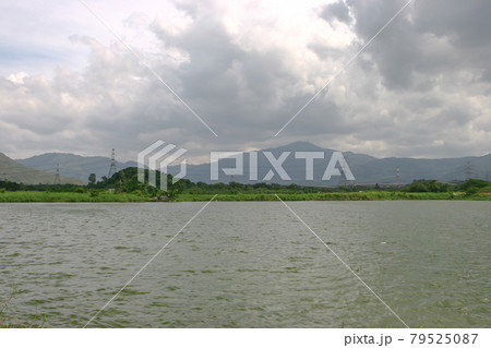 a fish pond at Shan Pui Tsuen, yuen long HK a fish pond at Shan Pui Tsuen, yuen long HK 79525087