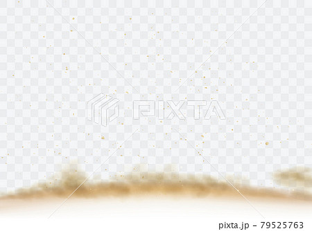 Desert sandstorm, brown dusty cloud on transparent Desert sandstorm, brown dusty cloud on transparent 79525763