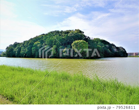 奈良、垂仁天皇 菅原伏見東陵 、垂仁陵古墳、宝来山古墳、全景、手前が草むら 奈良、垂仁天皇 菅原伏見東陵 、垂仁陵古墳、宝来山古墳、全景、手前が草むら 79526811