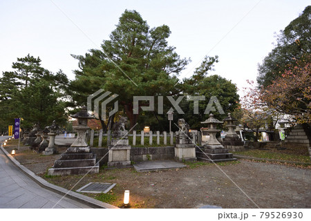 北野天満宮　影向松（ようごうのまつ） 79526930