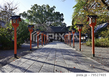 平野神社 楼門(東神門)と春日灯籠 平野神社 楼門(東神門)と春日灯籠 79527405