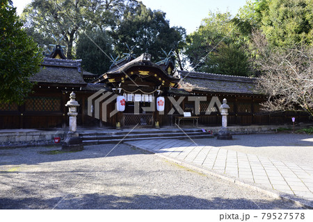 平野神社　本殿と接木の拝殿 79527578