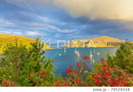 View of Loch Portree 79528338