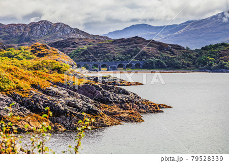 View of an old stone railway bridge in Scotland in autumn 79528339